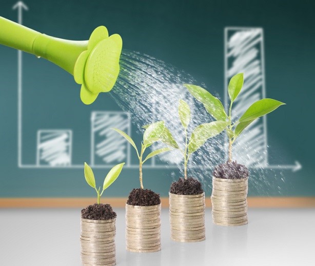 Maximize Conversion Rates with a PPC Campaign